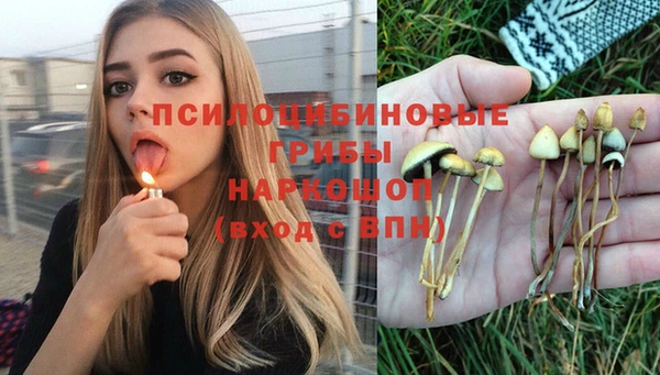 MDMA Богородицк