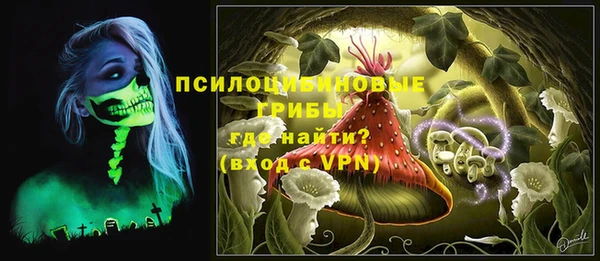 MDMA Богородицк
