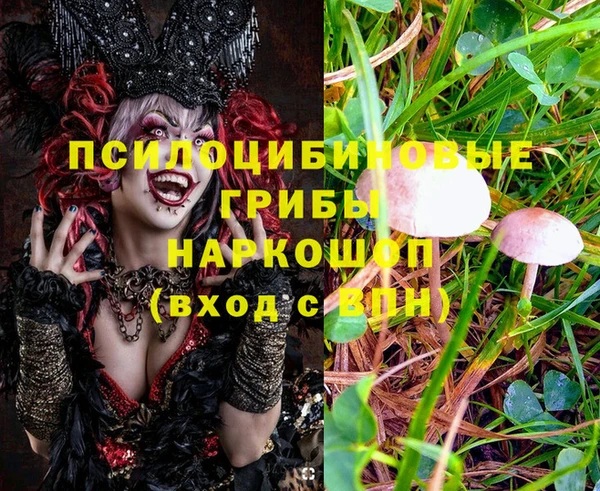 MDMA Богородицк
