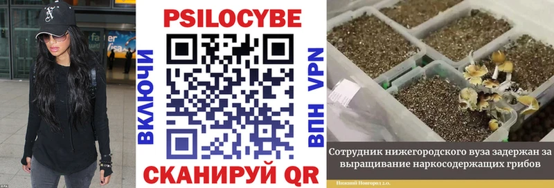 Галлюциногенные грибы прущие грибы Дзержинск